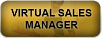 Virtual Sales Manager